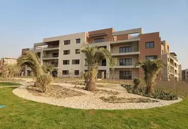 شقق للبيع - 2 غرف - بالدور 2