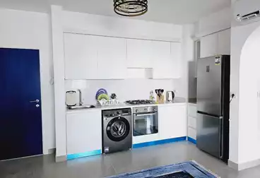 Apartments For rent - 1 rooms - floor 0