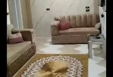 Properties For rent - 2 rooms - floor 0