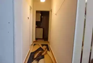 Apartments For rent - 3 rooms - floor 4