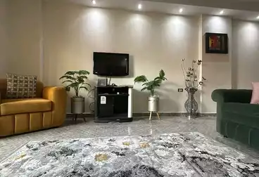 شقق مفروشة للإيجار - 3 غرف - بالدور 0