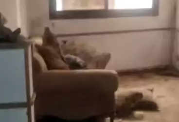 عقارات للبيع - 2 غرف - بالدور 1