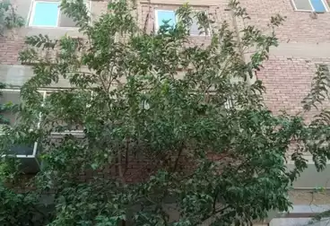 منزل / بيت للبيع - 3 غرف
