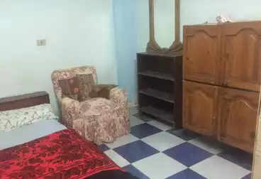 شقق مفروشة للإيجار - 1 غرف - بالدور 1