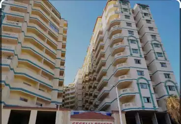 شقق للبيع - 3 غرف - بالدور 5