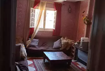 شقق للبيع - 2 غرف - بالدور 7