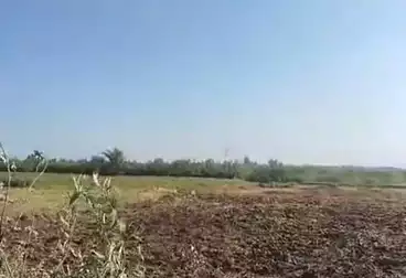 أراضي للبيع