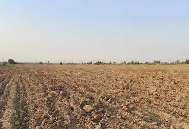 أرض زراعية للبيع