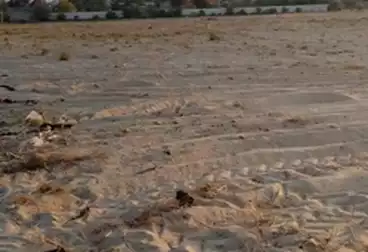 أراضي للإيجار
