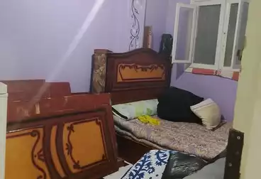 شقق للبيع - 2 غرف - بالدور 1