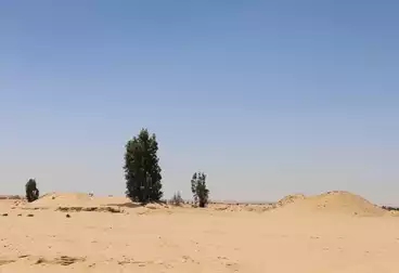 أرض مباني سكنية للبيع