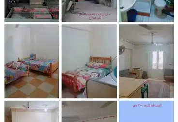 شقق مفروشة للإيجار - 2 غرف - بالدور 7
