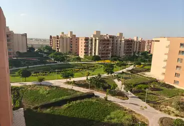 undefined undefined - 3 rooms - floor 1
