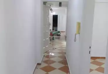 Apartments For rent - 3 rooms - floor 1