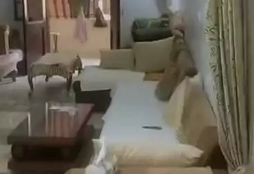 Apartments For sale - 2 rooms - floor 4