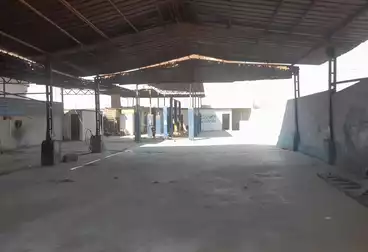 عقارات للإيجار