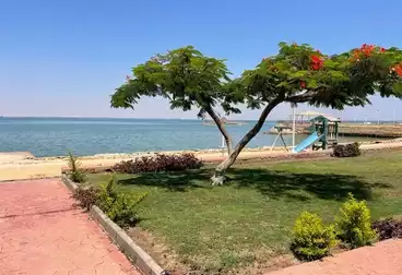 Chalets For rent - 2 rooms - floor 1
