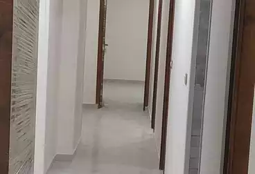 Apartments For rent - 3 rooms - floor 1