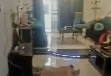 Apartments For sale - 3 rooms - floor 10