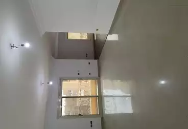 شقق للإيجار