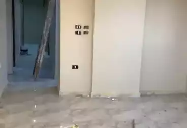 شقق للبيع - 3 غرف - بالدور 0
