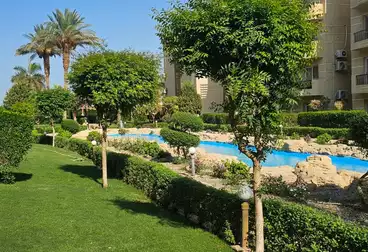 شقق للبيع - 1 غرف - بالدور 0
