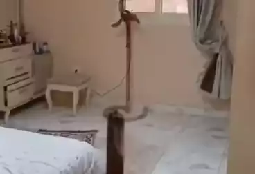Furnished Apartment For sale - 3 rooms - floor 7