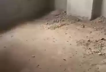 Apartments For sale - 3 rooms - floor 5