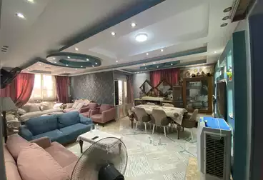 شقق للبيع - 3 غرف - بالدور 11