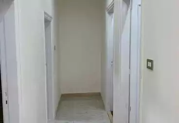 عقارات للإيجار - 2 غرف - بالدور 0