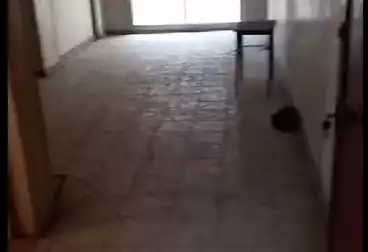 undefined undefined - 2 rooms - floor 5
