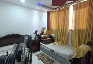 Properties For rent - 2 rooms - floor 1