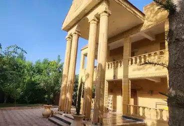Palace For sale - 7 rooms