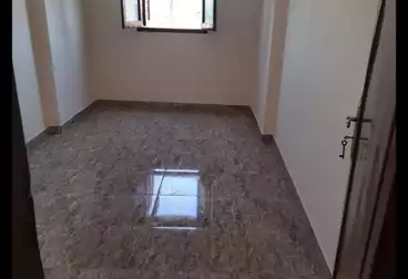 عقارات للإيجار - 4 غرف - بالدور 4