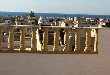 شقق للبيع - 5 غرف - بالدور 1