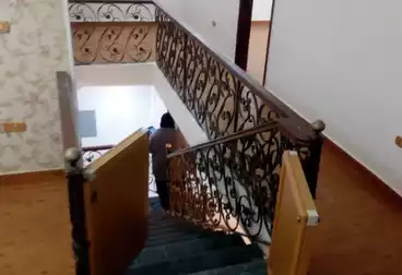 Properties For rent - 3 rooms - floor 0