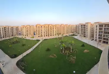 عقارات للإيجار - 3 غرف - بالدور 5
