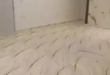 شقق للبيع - 3 غرف - بالدور 1