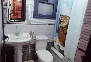 شقق للبيع - 2 غرف - بالدور 7