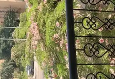 شقق للإيجار - 2 غرف - بالدور 1