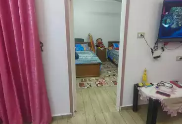 منزل / بيت للبيع - 2 غرف