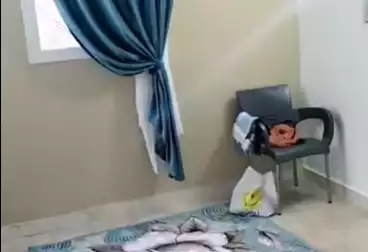 Apartments For sale - 3 rooms - floor 5