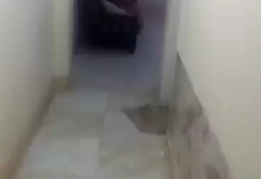 شقق للبيع - 3 غرف - بالدور 3