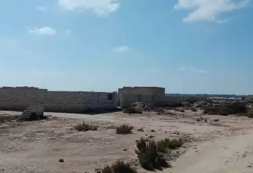 أراضي للبيع