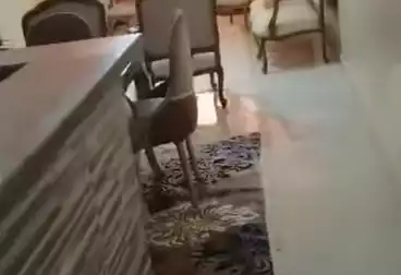 Furnished Apartment For sale - 3 rooms - floor 12