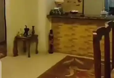 Apartments For sale - 3 rooms - floor 1