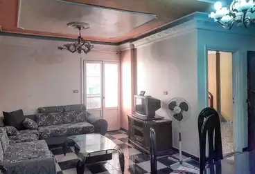 عقارات للإيجار - 3 غرف - بالدور 6