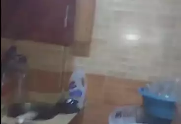 Apartments For sale - 2 rooms - floor 1