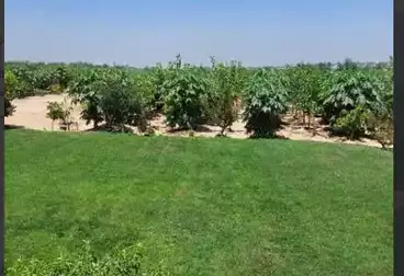 Land For rent