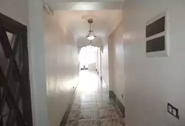 شقق للإيجار